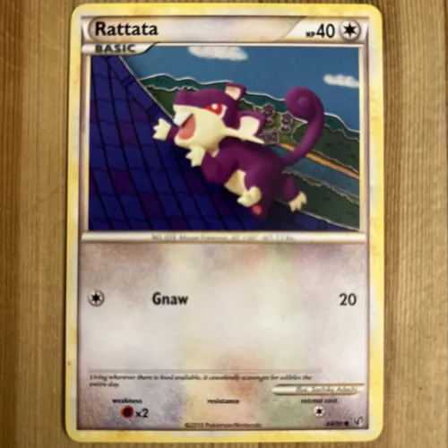 Rattata