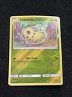 Chikorita