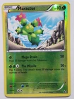 Maractus