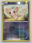 Minccino