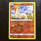 Ponyta