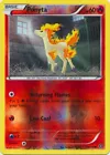 Ponyta