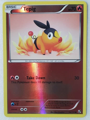 Tepig