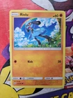Riolu