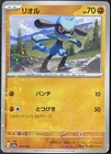 Riolu