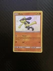 Riolu