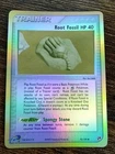 Root Fossil