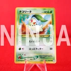 Chikorita