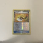 Sacred Ash