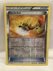 Sacred Ash
