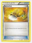 Sacred Ash