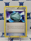 Sail Fossil
