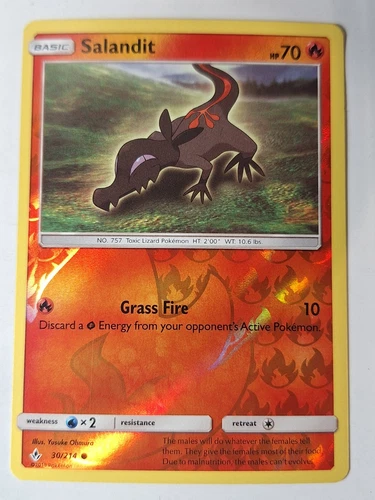 Salandit