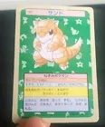Sandshrew