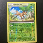 Sawsbuck