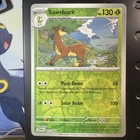Sawsbuck