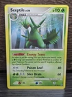 Sceptile