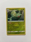 Sceptile
