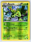 Sceptile
