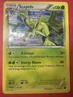 Sceptile