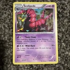 Scolipede