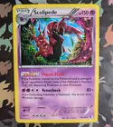 Scolipede
