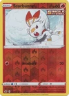 Scorbunny