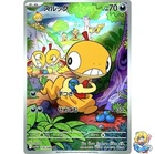 Scraggy