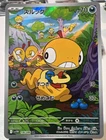 Scraggy