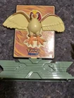 Pidgeot