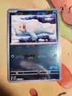 Seel