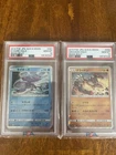 Kyogre