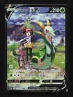 Serperior VSTAR