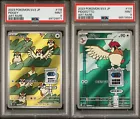 Pidgeot EX
