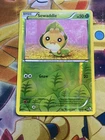 Sewaddle