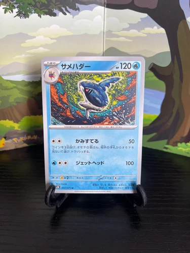 Sharpedo
