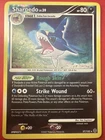 Sharpedo