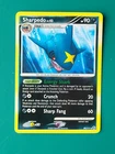 Sharpedo
