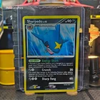 Sharpedo