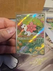 Pokemon Catcher