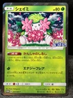 Shaymin 