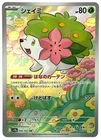 Pokemon Catcher