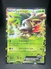 Shaymin EX