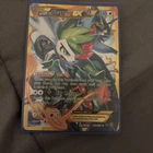 Shaymin EX