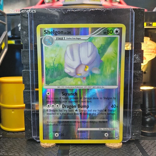 Shelgon