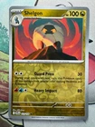 Shelgon