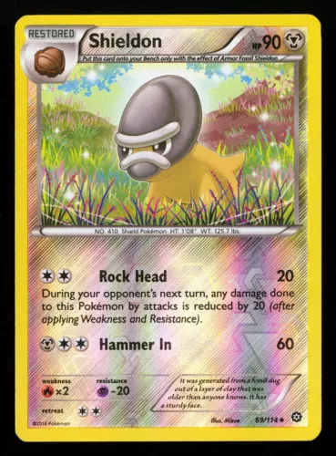 Shieldon