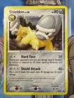 Shieldon