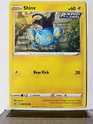 Shinx