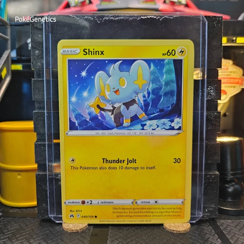 Shinx